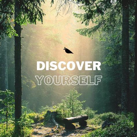 Discover your .